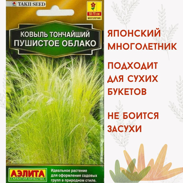 Ковыль Агрофирма Аэлита цветы - купить по выгодным ценам в интернет ...