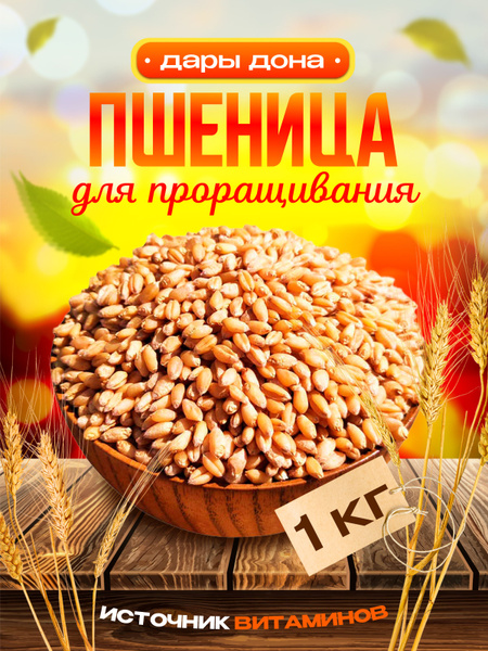 Пшеница для проращивания. Зерно,семена 1 кг - купить с доставкой по ...
