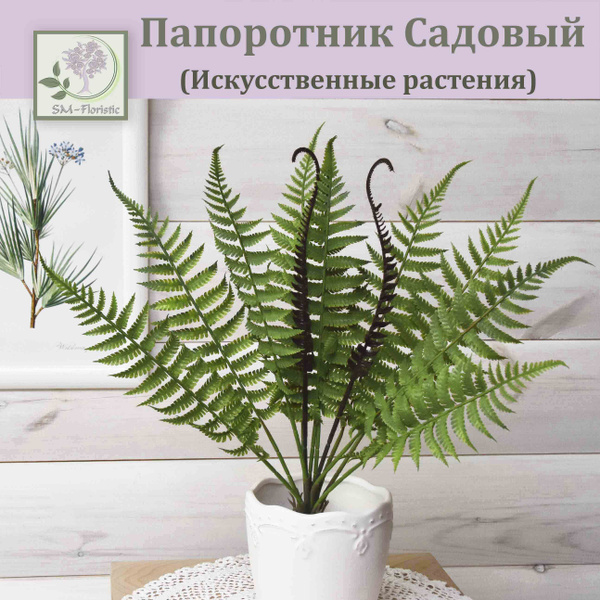 Купить Папоротник садовый (с 2-мя ростками) / Папоротник искусственный ...