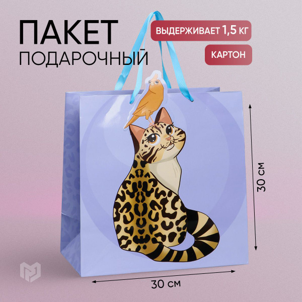 Пакет подарочный "Кот", 30 х 30 х 15 см купить c доставкой на OZON по ...