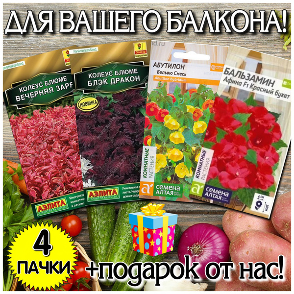 Бальзамины комнатные, Абутилон Семена Алтая цветы - купить по выгодным ...