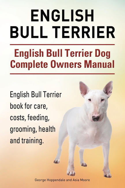 english bull terrier