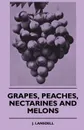 Grapes, Peaches, Nectarines And Melons - J. Lansdell