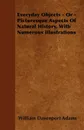 Everyday Objects - Or - Picturesque Aspects Of Natural History, With Numerous Illustrations - William Davenport Adams