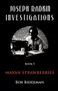 Joseph Radkin Investigations - Book 5. Mayan Strawberries - Bob Biderman