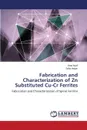 Fabrication and Characterization of Zn Substituted Cu-Cr Ferrites - Nazli Hina, Anjum Safia