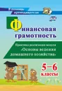 Финансовая грамотность.  5-6 классы: Практика реализации модуля 