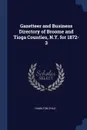Gazetteer and Business Directory of Broome and Tioga Counties, N.Y. for 1872-3 - Hamilton Child