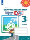 Окружающий мир. Основы безопасности жизнедеятельности. Рабочая тетрадь. 3 класс. Учебное пособие для общеобразовательных организаций (Перспектива) - Ижевский П. В. / Под ред. Плешакова А. А.