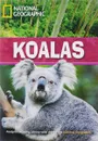 NGR: 2600 (C1): Koalas Saved! (BrE) - Rob Waring, National Geographic