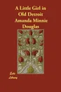 A Little Girl in Old Detroit - Amanda Minnie Douglas