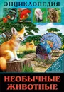 Необычные животные - Соколова Л.