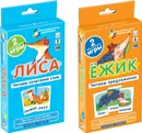 Набор карточек ОГ5 Лиса. ОГ6. Ежик (комплект из 2 шт) - Штец А.А.