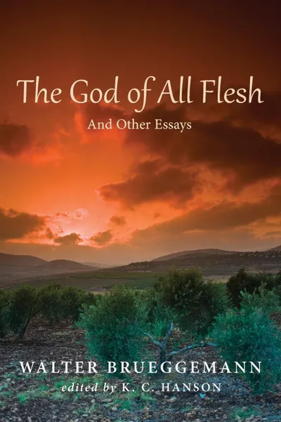 Обложка книги The God of All Flesh, Walter Brueggemann