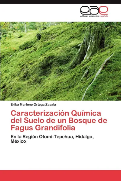 Обложка книги Caracterizacion Quimica del Suelo de Un Bosque de Fagus Grandifolia, Erika Marlene Ortega Zavala