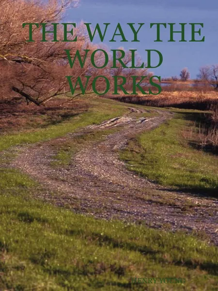 Обложка книги The Way the World Works, Henry Young