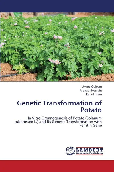 Обложка книги Genetic Transformation of Potato, Qulsum Umme, Hossain Monzur, Islam Rafiul