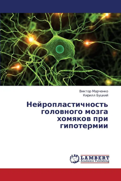 Обложка книги Neyroplastichnost' Golovnogo Mozga Khomyakov Pri Gipotermii, Marchenko Viktor, Butskiy Kirill