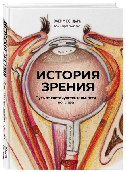Обложка книги История зрения: путь от светочувствительности до глаза, Бондарь Вадим Андреевич