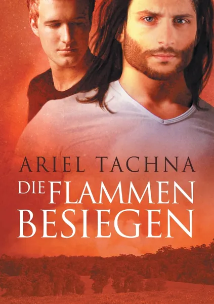 Обложка книги Die Flammen besiegen, Ariel Tachna, Anna Doe