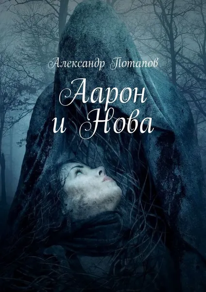 Обложка книги Аарон и Нова, Александр Потапов