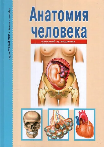 Обложка книги Анатомия человека. Школьный путеводитель, Афонькин Сергей Юрьевич