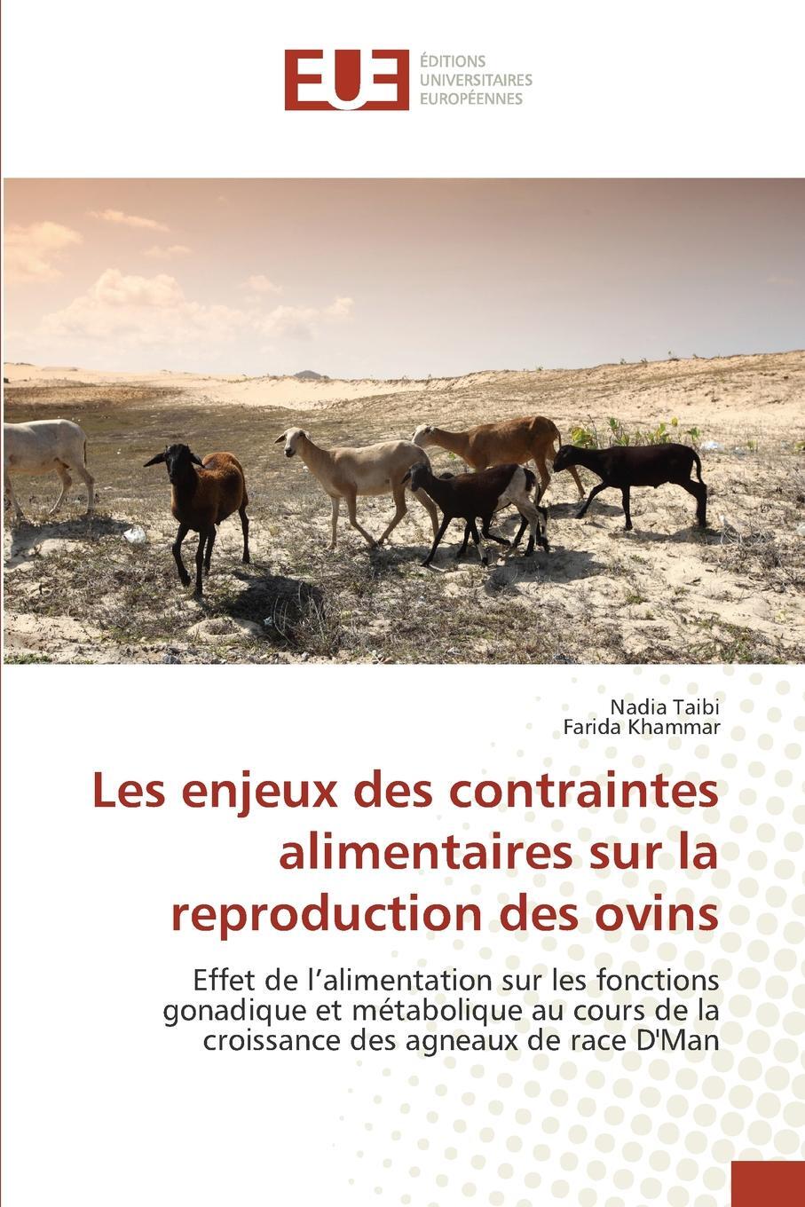фото Les enjeux des contraintes alimentaires sur la reproduction des ovins