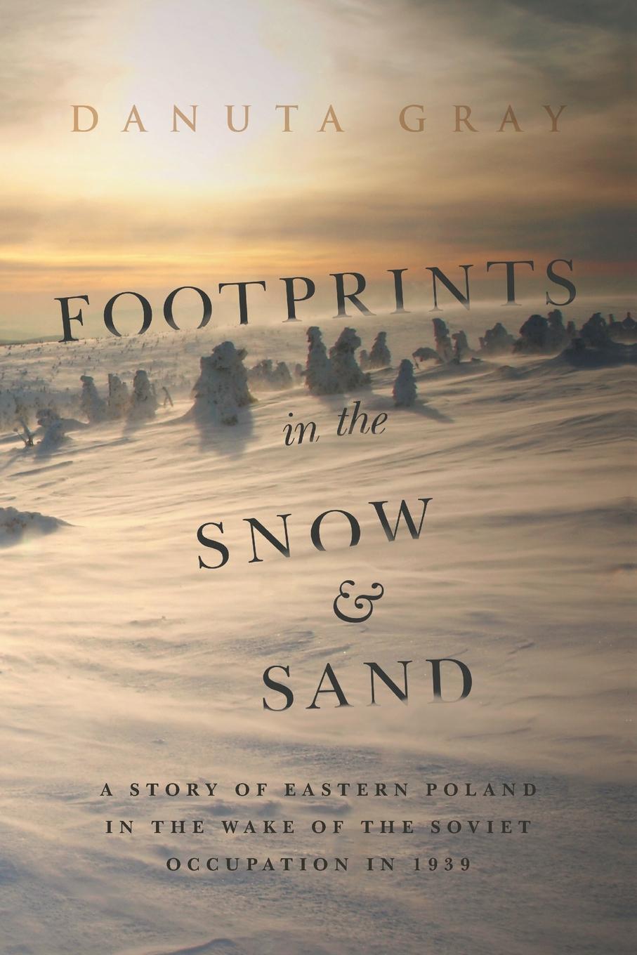 фото Footprints in The Snow and Sand