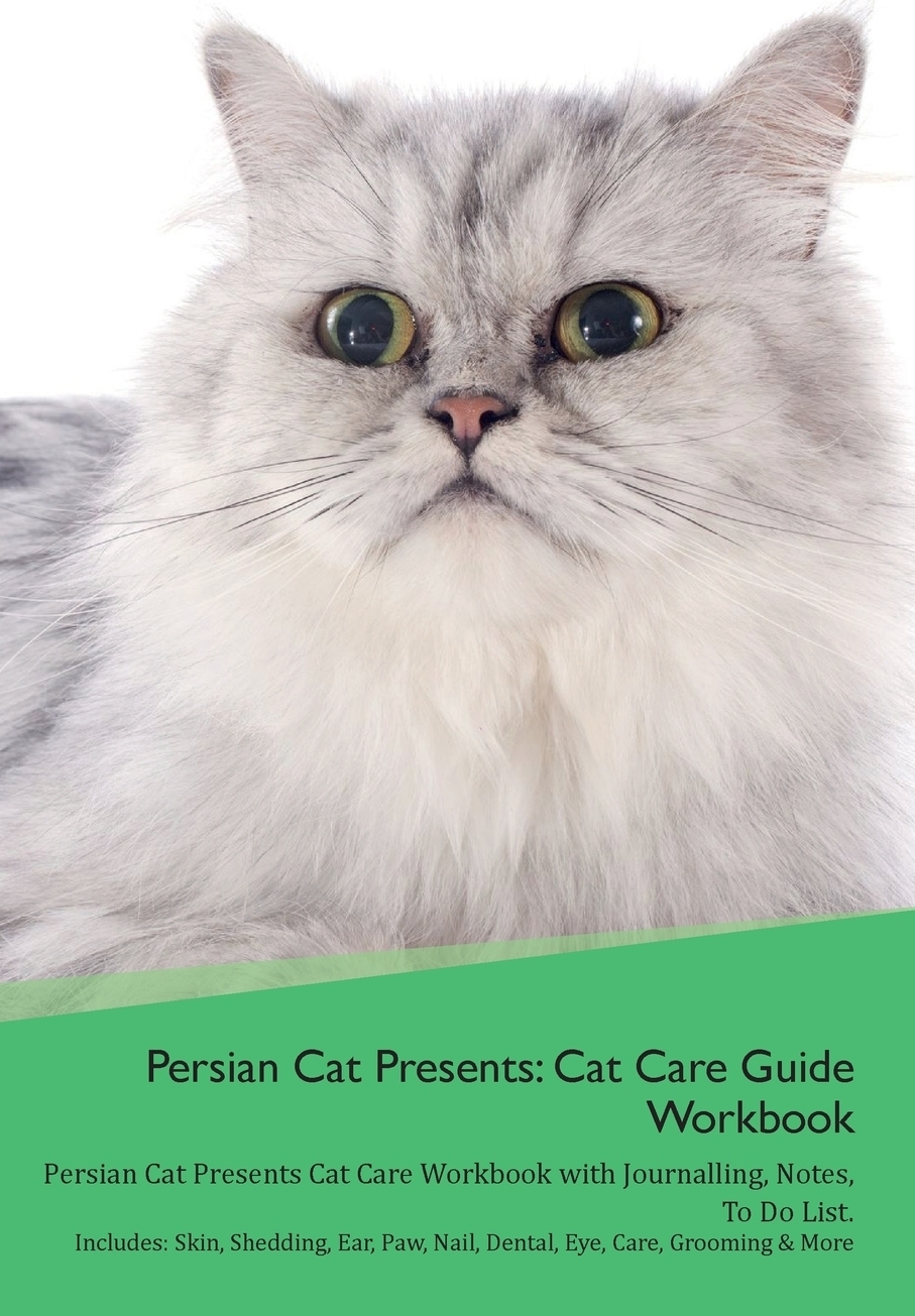 Код cats productivity tips. Cats production. a cat work book.