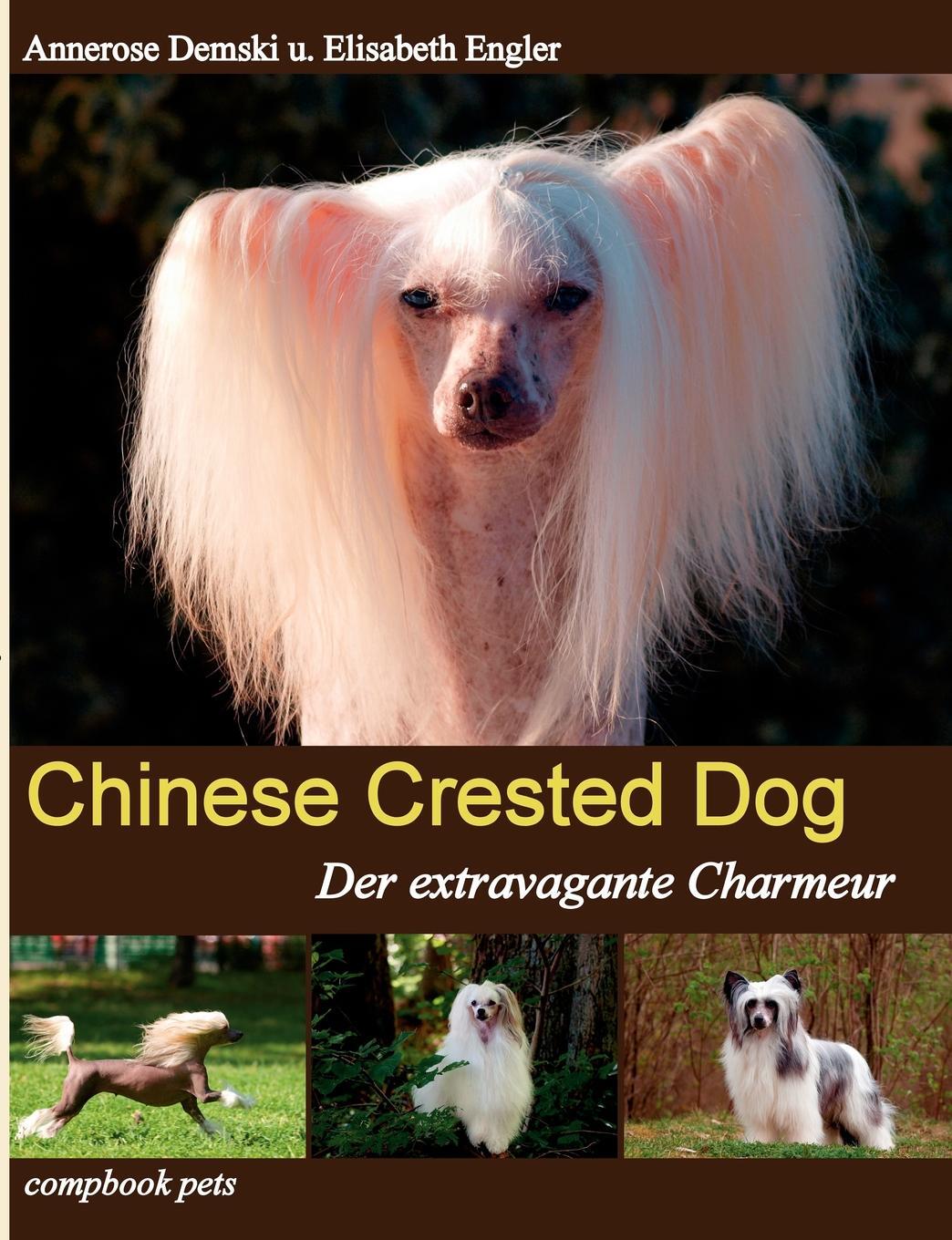 фото CHINESE CRESTED DOG