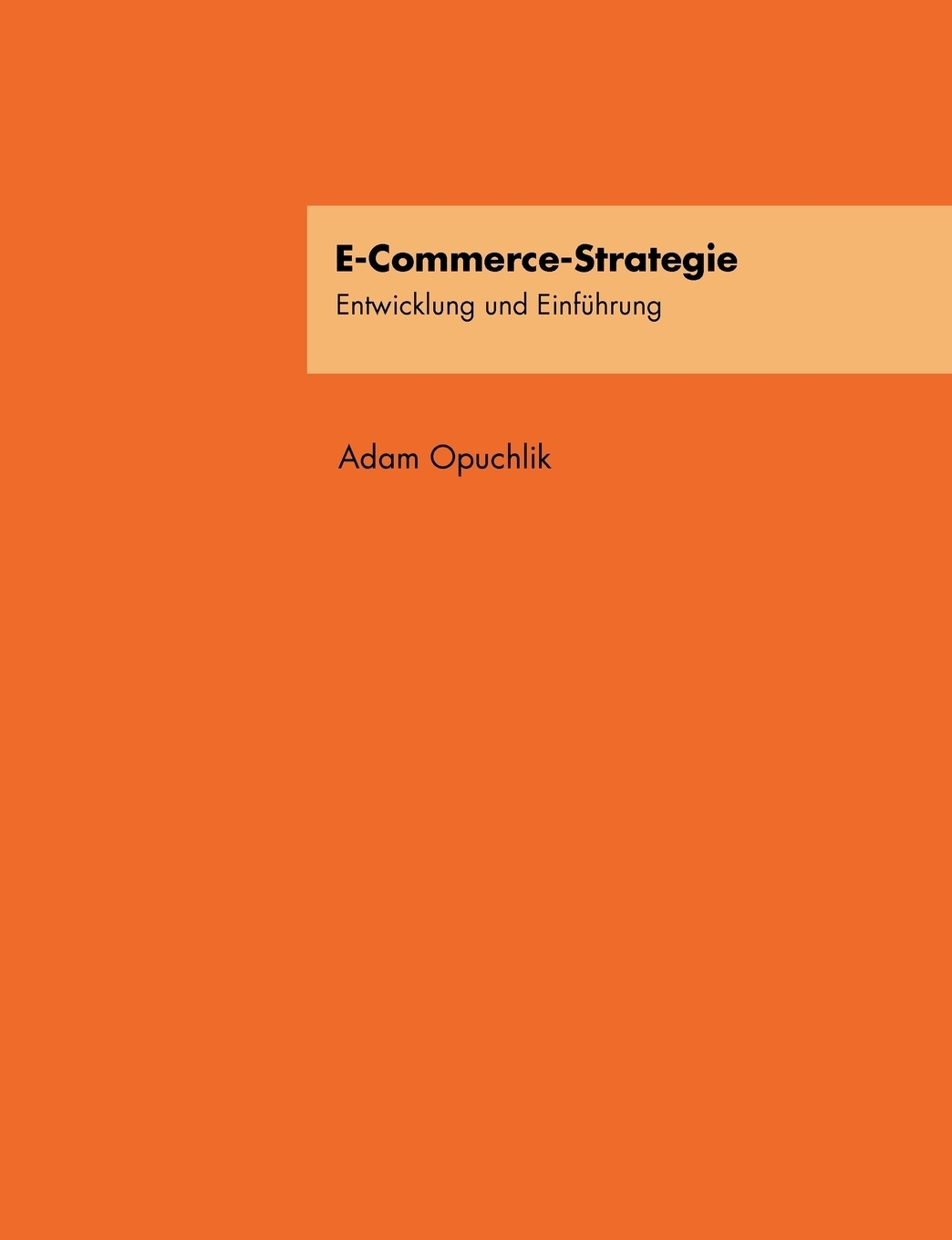 фото E-Commerce-Strategie