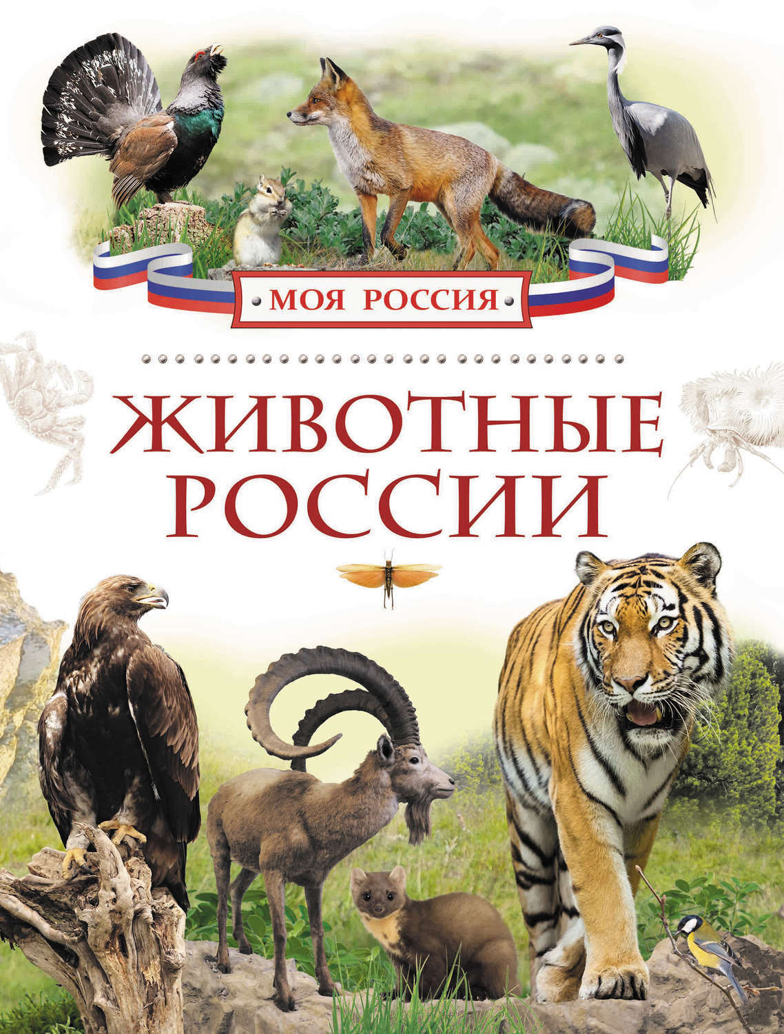 Книги о животных для детей картинки