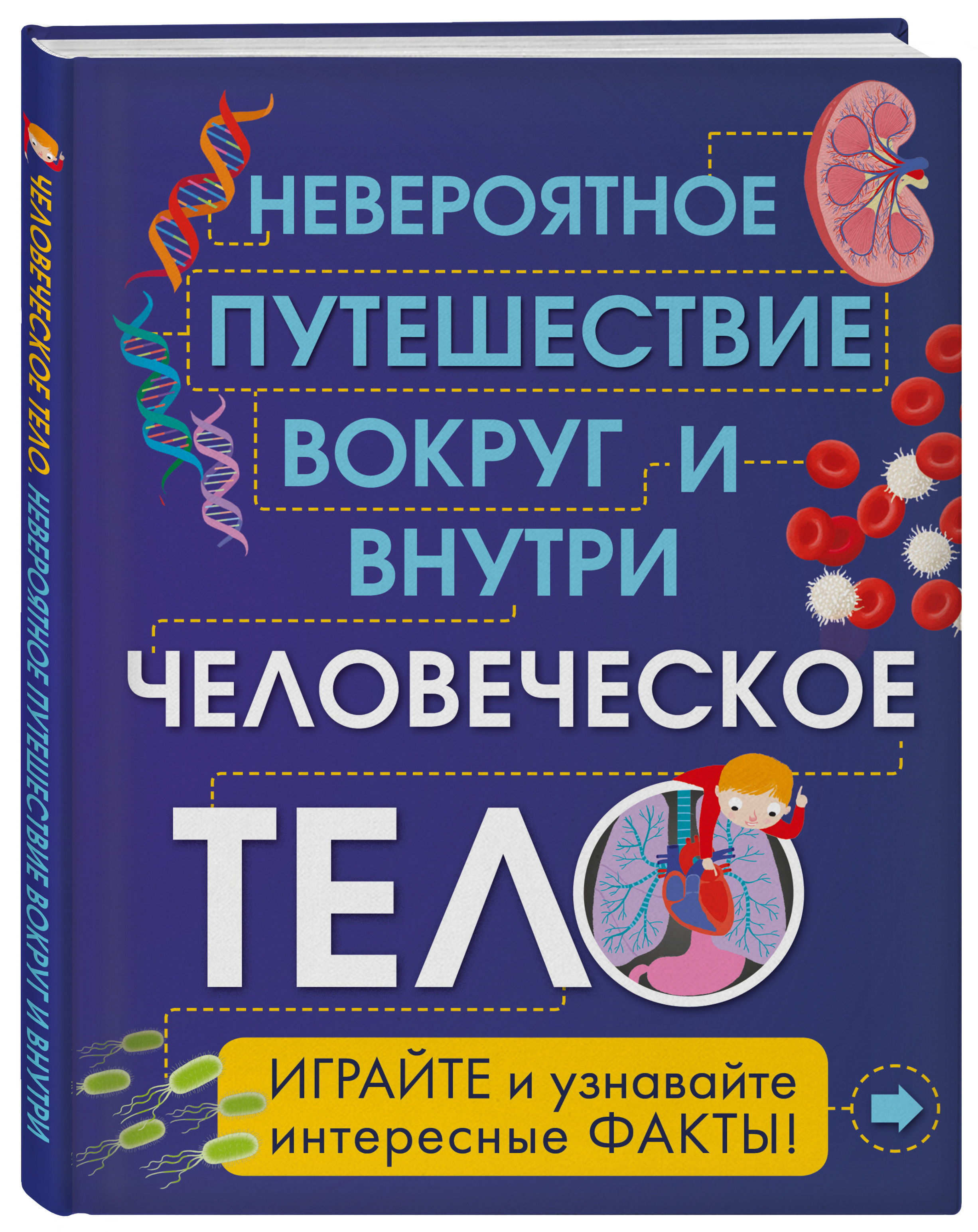 Внутри хочу. Книга невероятное путешествие вокруг и внутри человеческое тело. Путешествие внутри человека книга. Книга о путешествии детей внутри организма человека. Внутри человеческого тела книга.