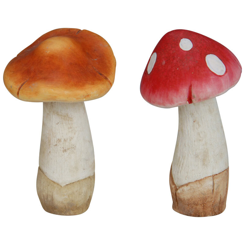 Mushroompus