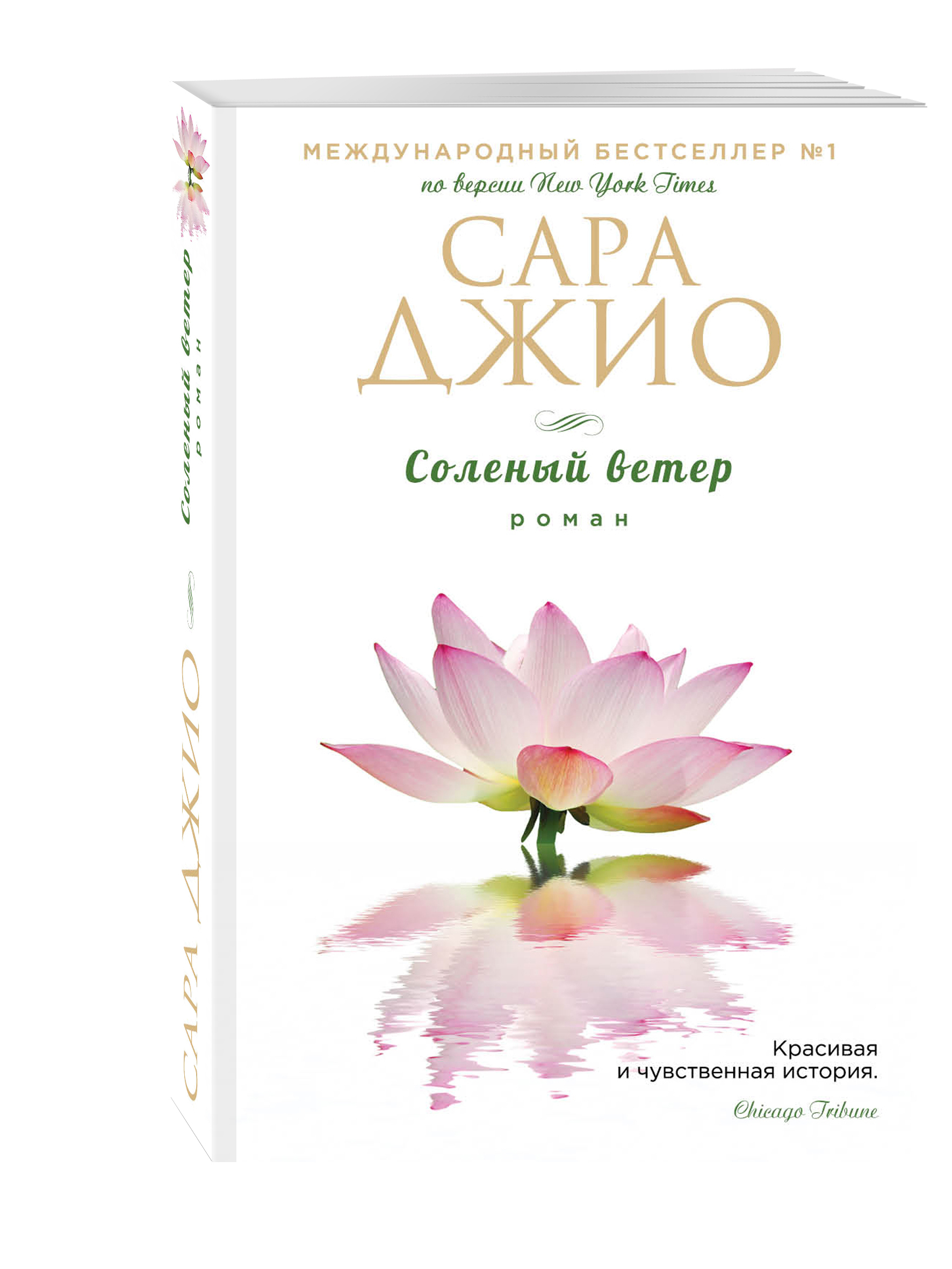 Соленая книга. Сара Джио 