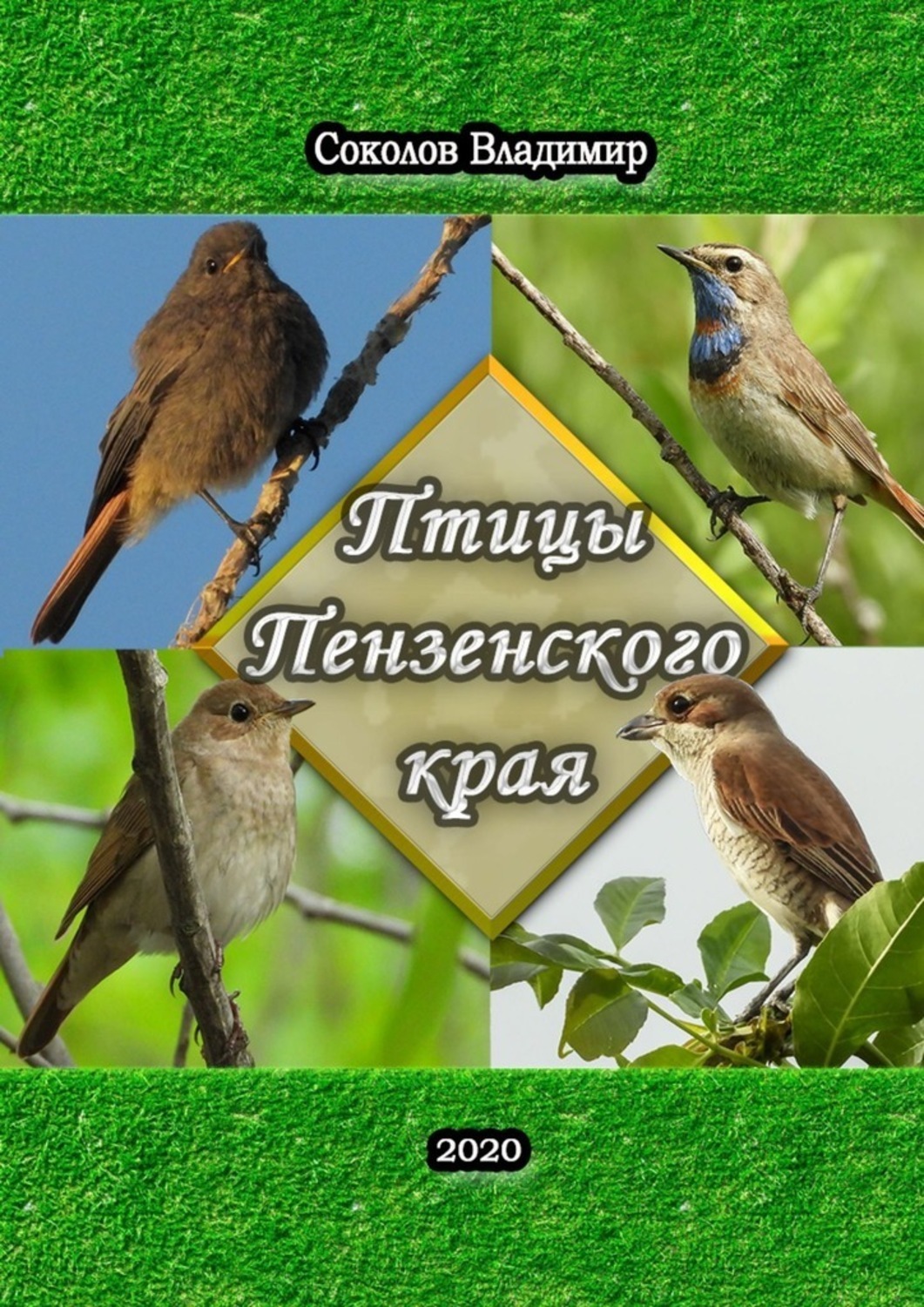 Птицы в Пензенской области Соколо