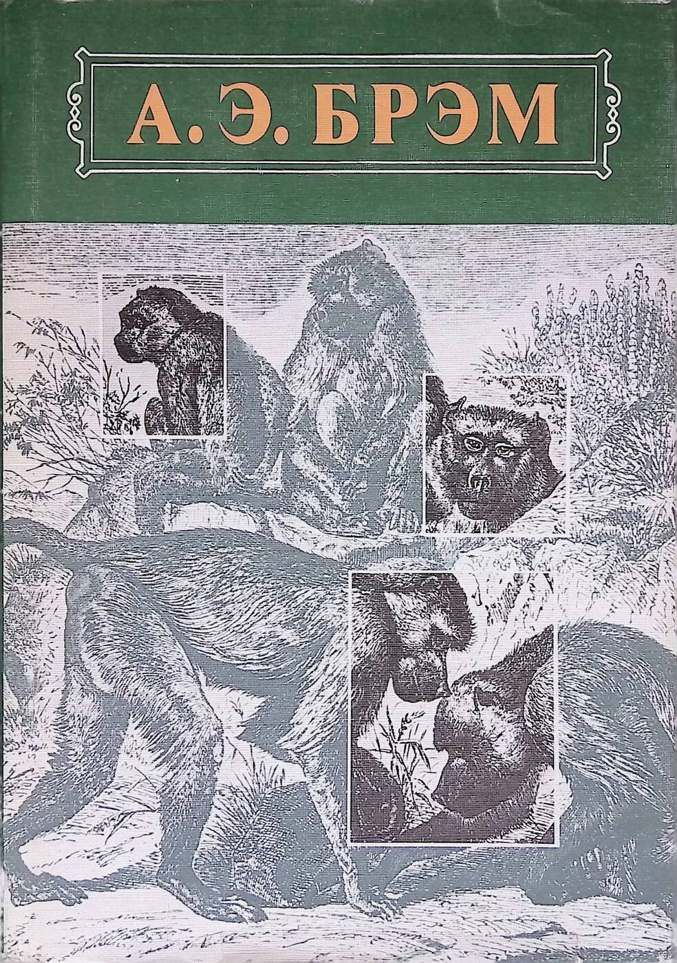 Жизнь животных том 5. Брем а.э. "жизнь животных". Жизнь животных. В трех томах. Том 1. млекопитающие книга. Жизнь животных млекопитающие книга Брем том 1.