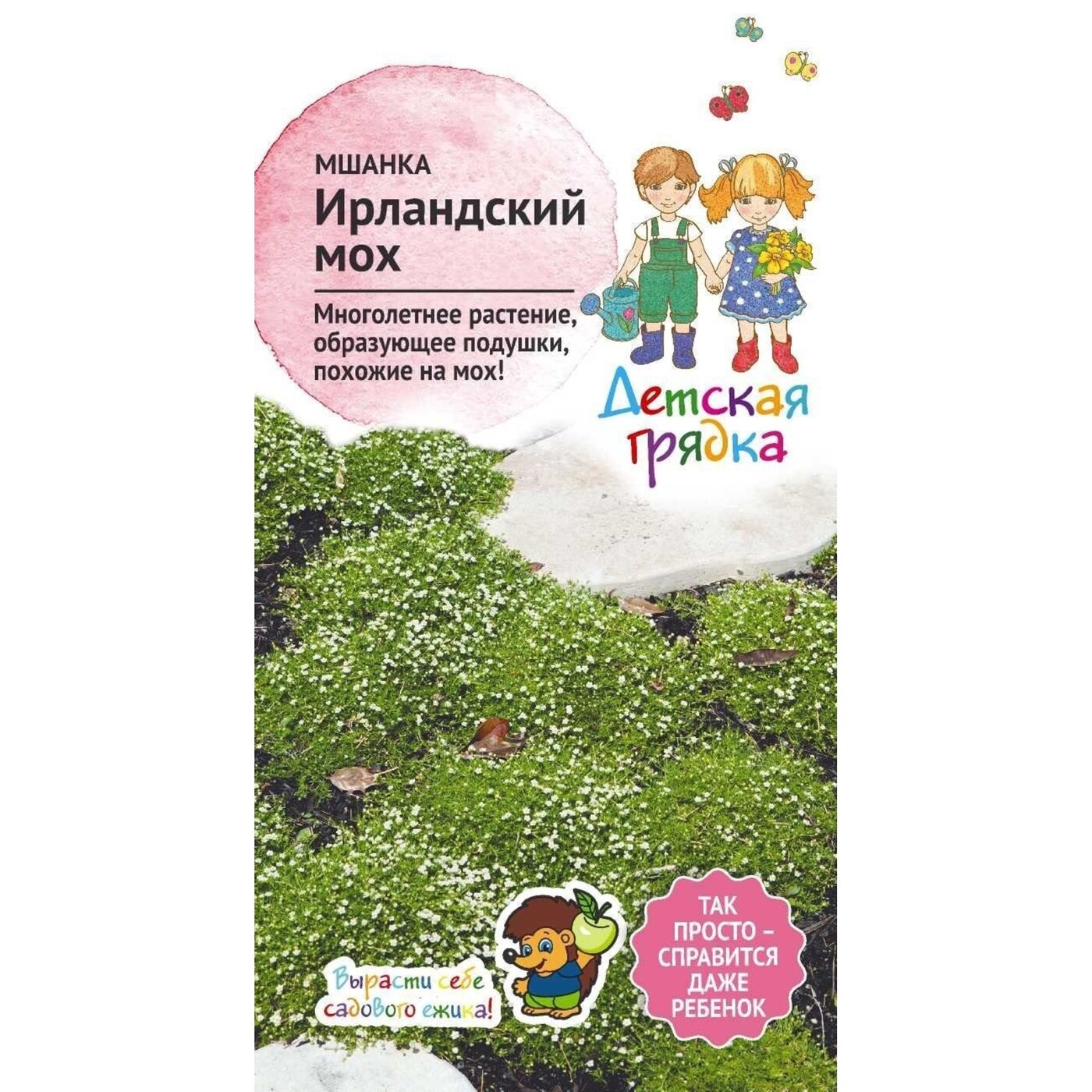 Мшанка Шиловидная Купить Семена В Леруа