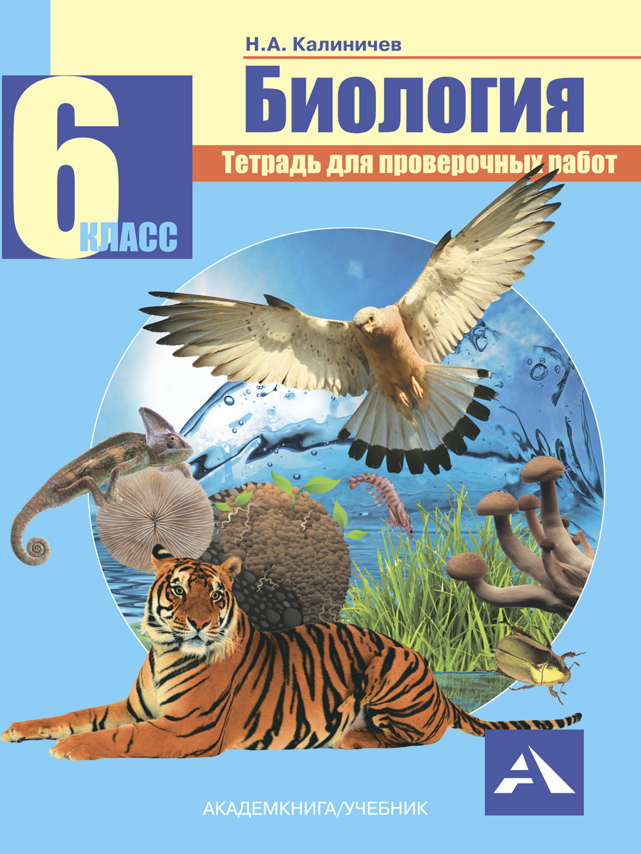 Биология. Тетрадь для проверочных работ. 6 класс | Калиничев Николай  Александрович - купить с доставкой по выгодным ценам в интернет-магазине  OZON (253469146)