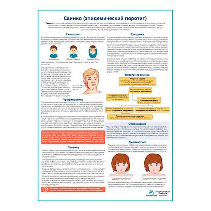 Возбудитель свинки эпидемического паротита. Эпидемический паротит. Эпидемический паротит возбудитель. Эпидемический паротит возбудитель. Паротит определение.