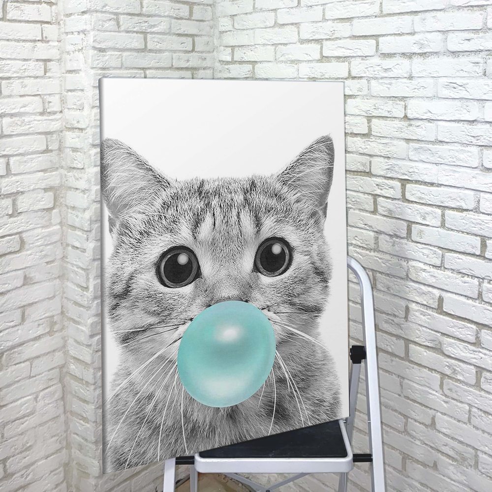 Кот бабл. Бабл котики. Кот Bubble Gum. Картина котик Bubble Gum. Шл`па кот.