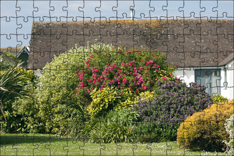 Is it in the garden