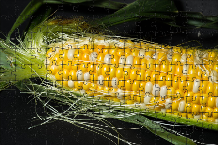 Кукуруза p2088. Открытая банка кукурузы. Открывание банки кукурузы. Кукуруза консерв открытая. Салат морской прибой.