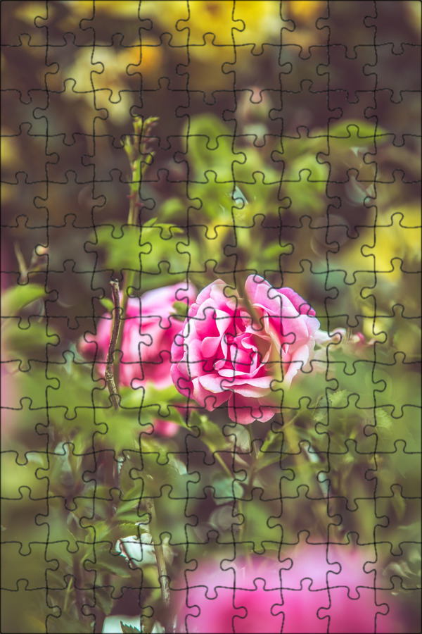 капхед цветок. боссы капхед гвоздика. хищное растение мухоловка фэнтези. цветы кричат. Cuphead босс подсолнух.