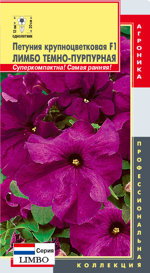 Петуния лимбо отзывы фото до и после