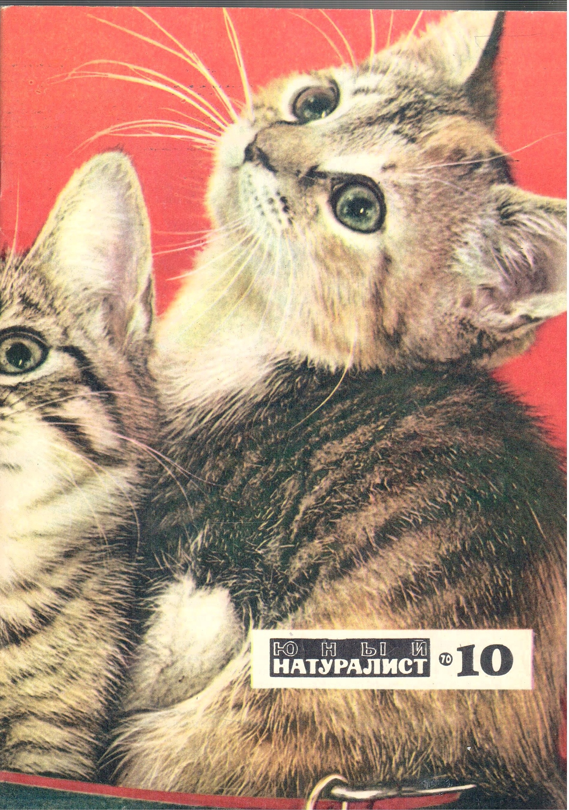 Журнал "Юный натуралист" №10, 1970