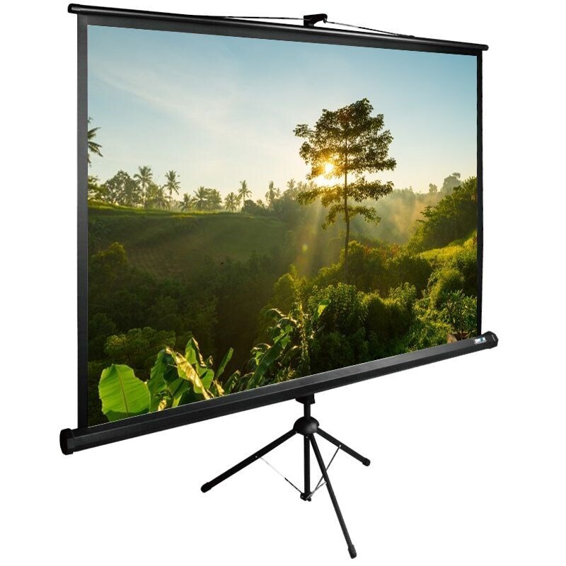 ЭкранCactus200x200смTriExpertCS-PSTE-200x200-BK1:1напольныйрулонныйчерный