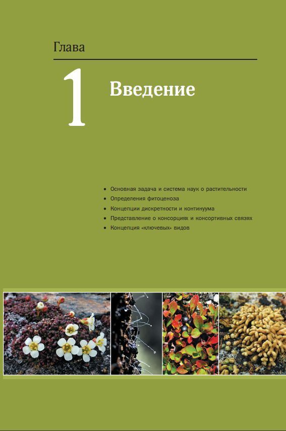 Структура фитоценоза. Фитоценология. Растительное сообщество это совокупность. Фитоценология растений. Классификация фитоценозов.