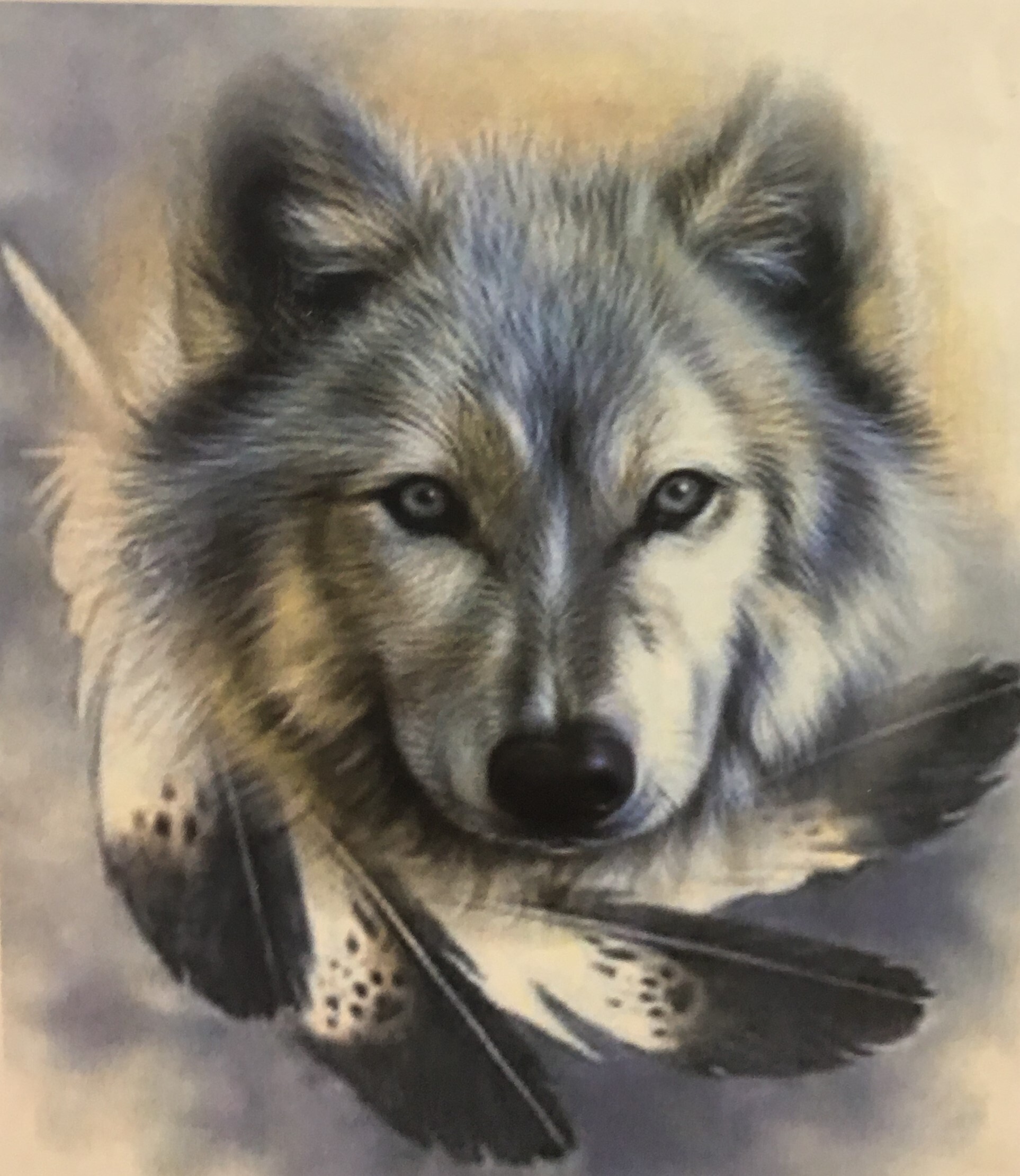 Волк с пером арты
