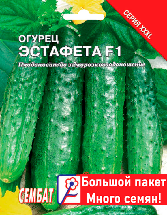 Огурец Сорт Эстафета Фото Огурец Сорт Эстафета Фото